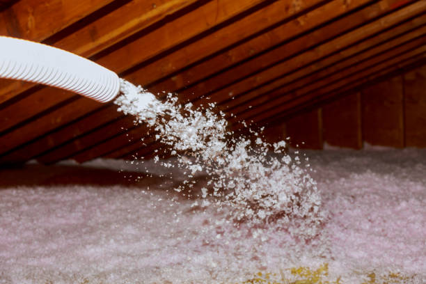 Best Insulation Maintenance and Repair in Tallahassee, FL